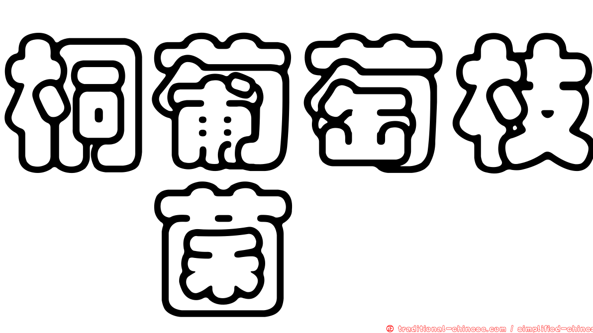 桐葡萄枝孢菌