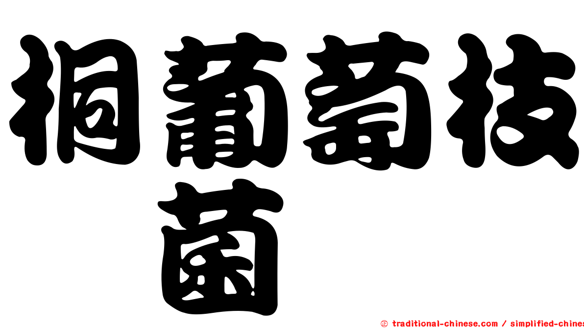 桐葡萄枝孢菌