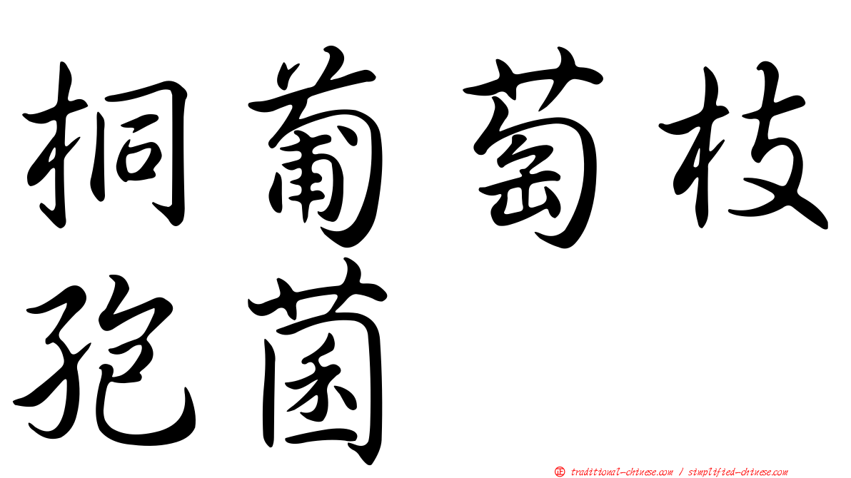 桐葡萄枝孢菌