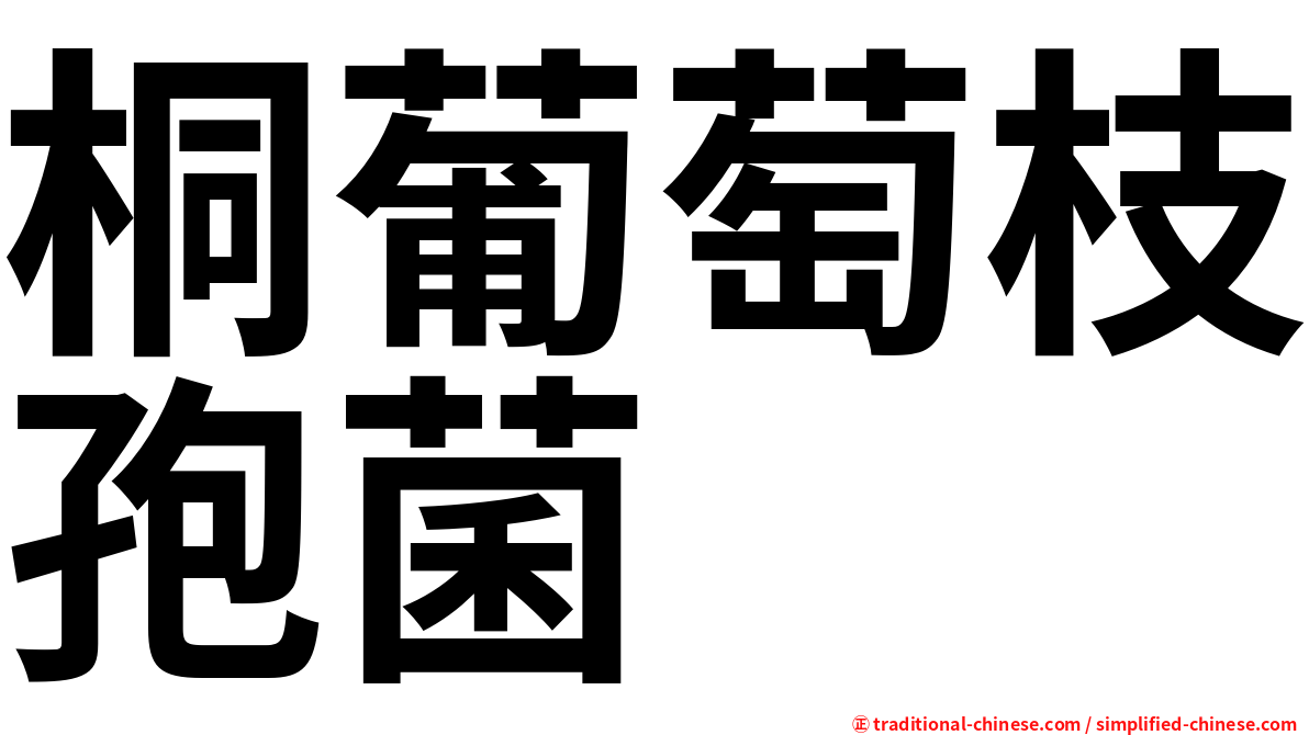 桐葡萄枝孢菌