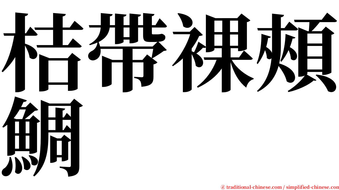 桔帶裸頰鯛 serif font