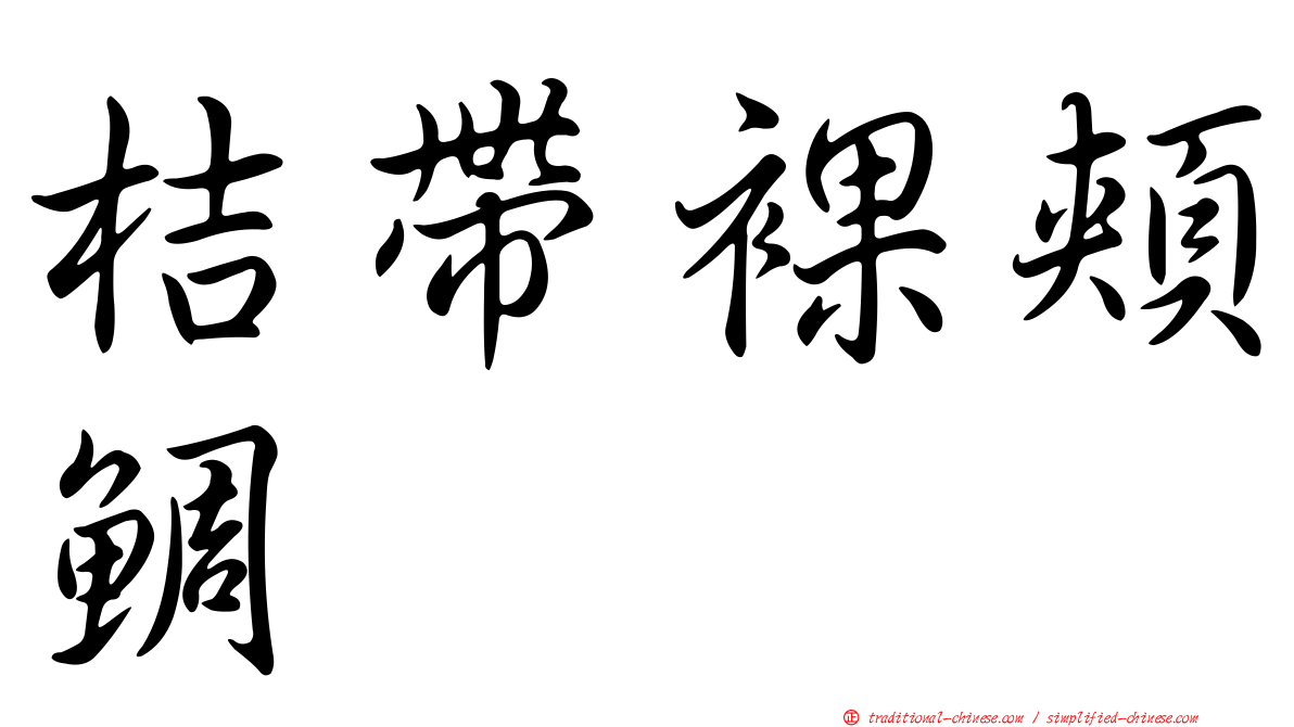 桔帶裸頰鯛
