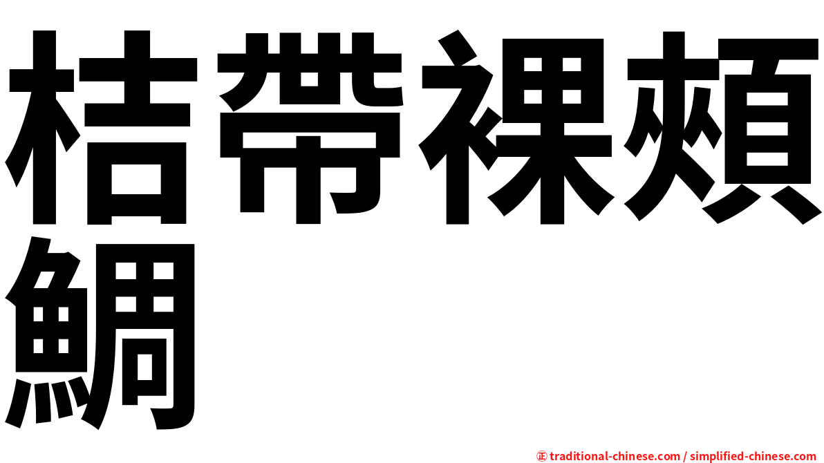 桔帶裸頰鯛