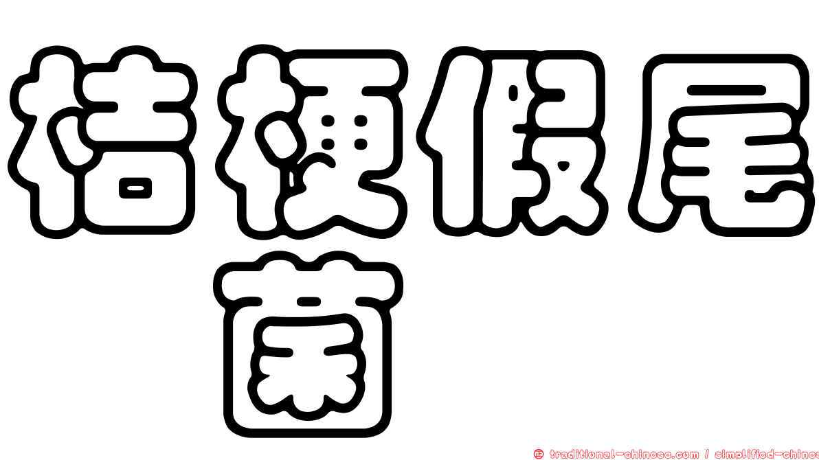 桔梗假尾孢菌