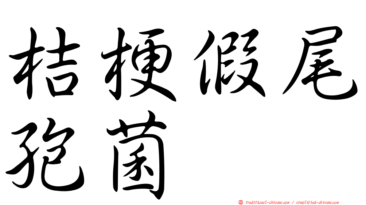 桔梗假尾孢菌