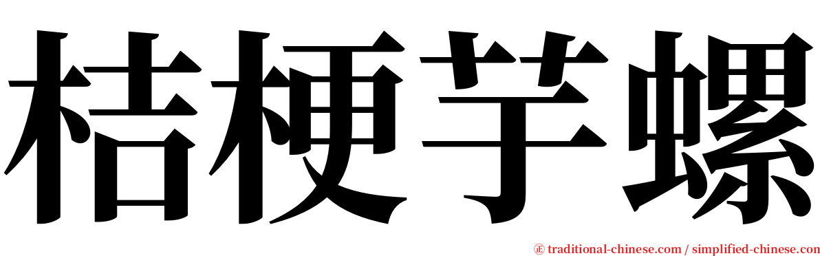 桔梗芋螺 serif font