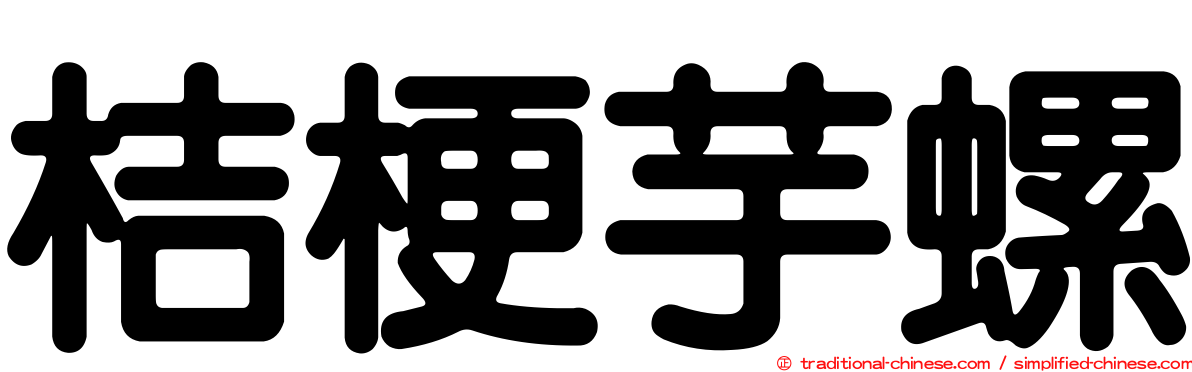 桔梗芋螺