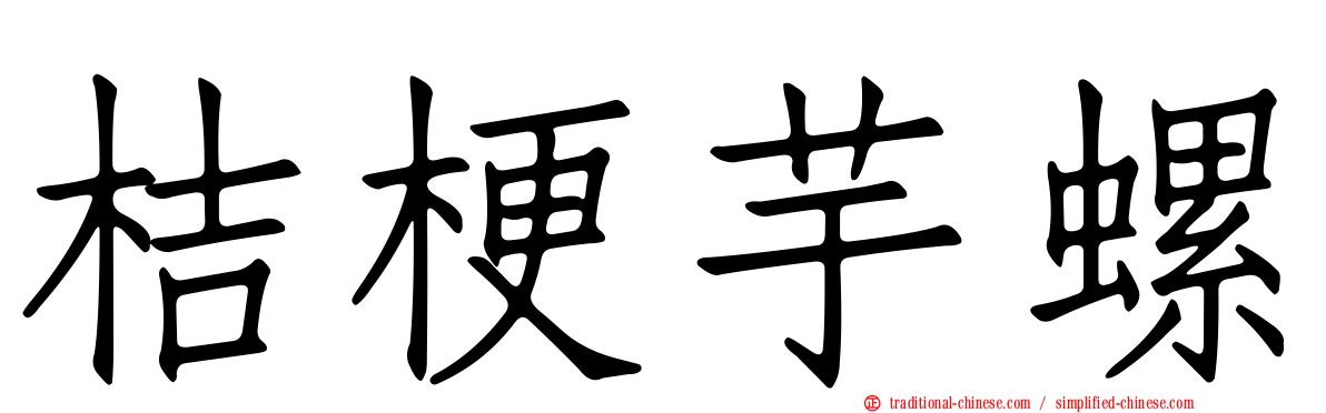 桔梗芋螺