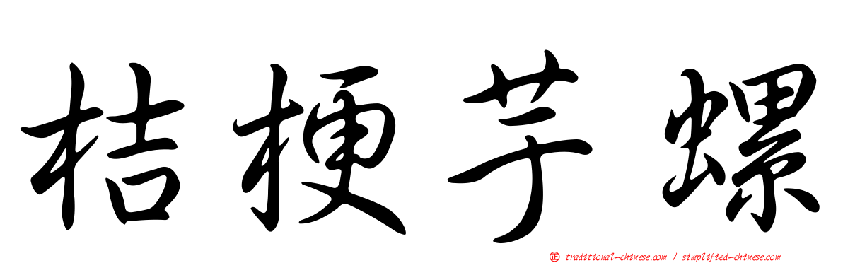 桔梗芋螺