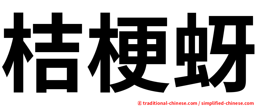 桔梗蚜