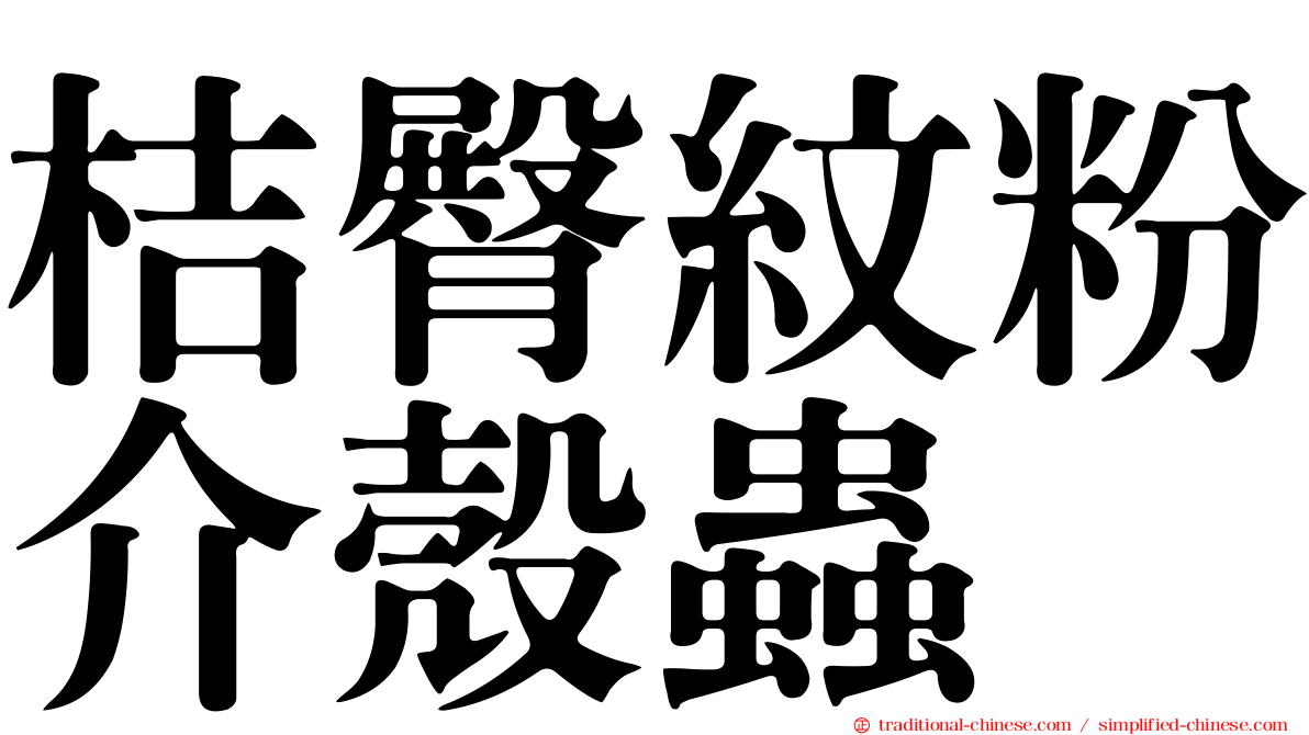 桔臀紋粉介殼蟲