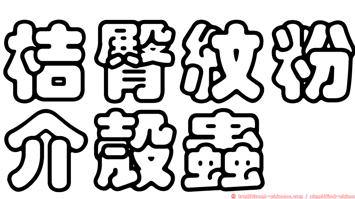 桔臀紋粉介殼蟲