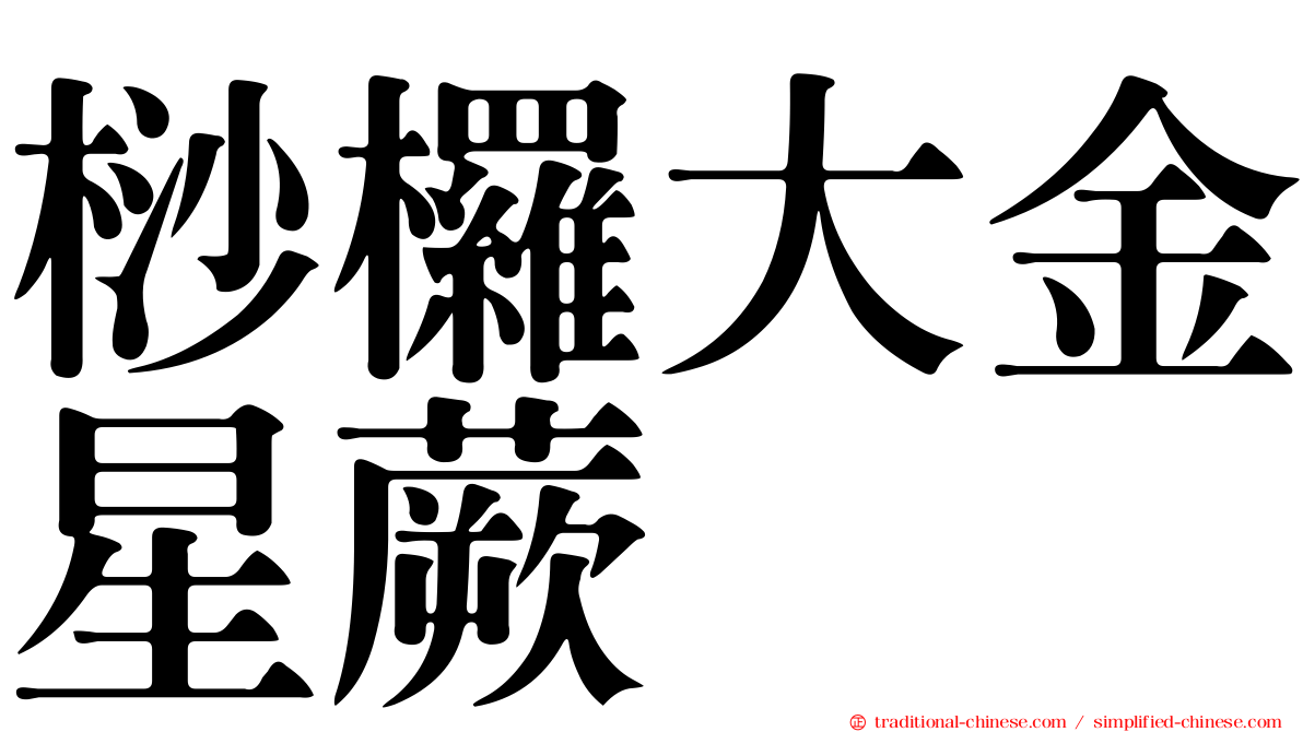 桫欏大金星蕨