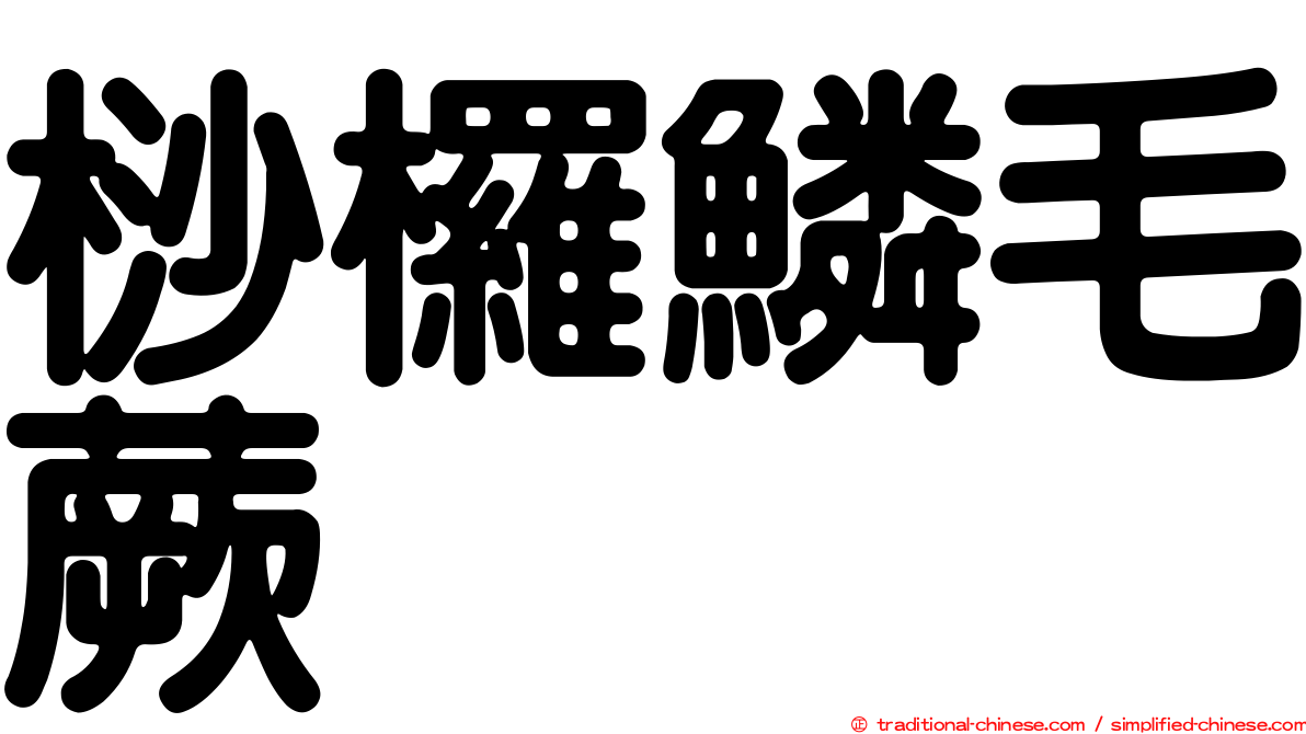 桫欏鱗毛蕨