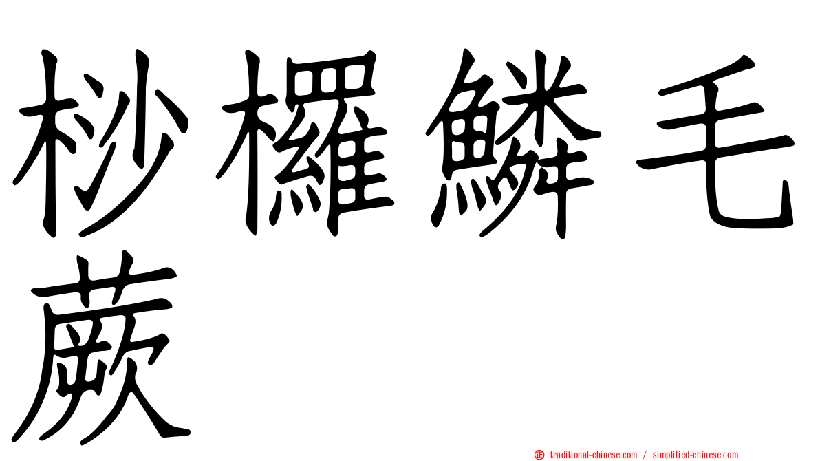桫欏鱗毛蕨