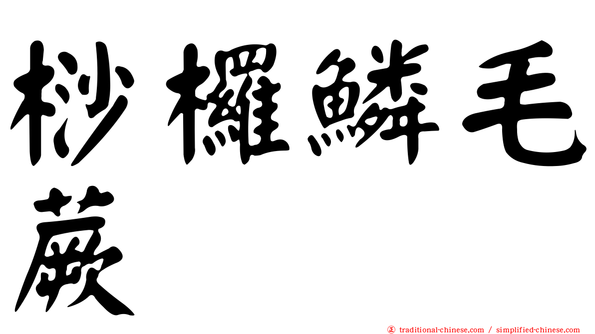 桫欏鱗毛蕨