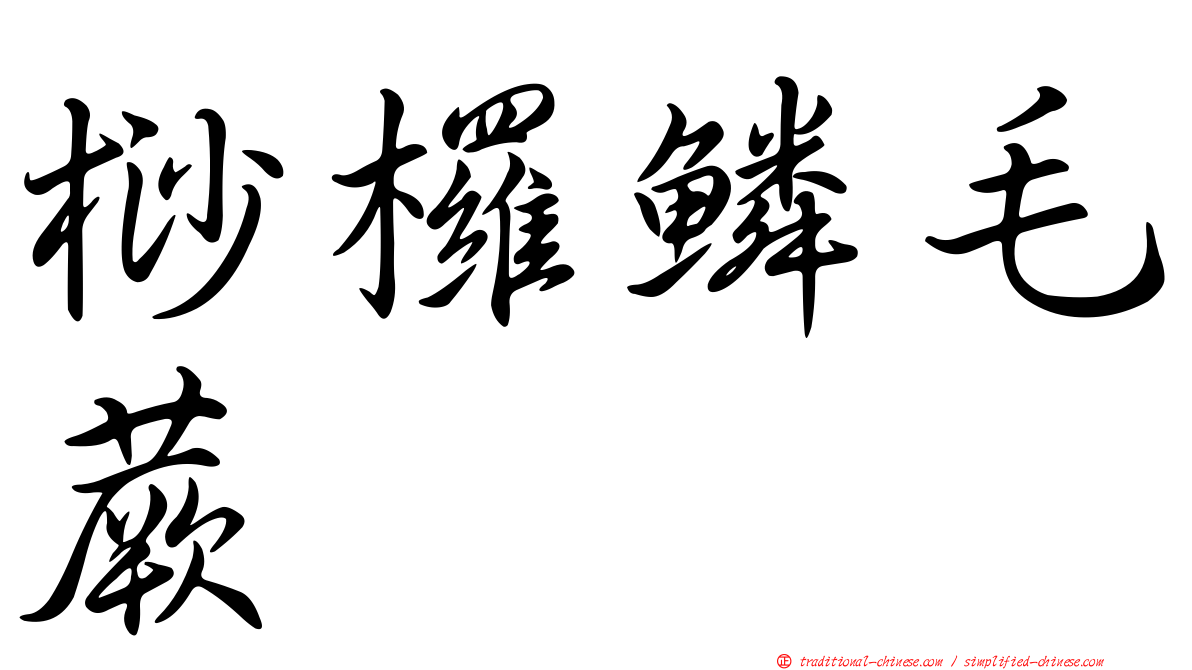 桫欏鱗毛蕨