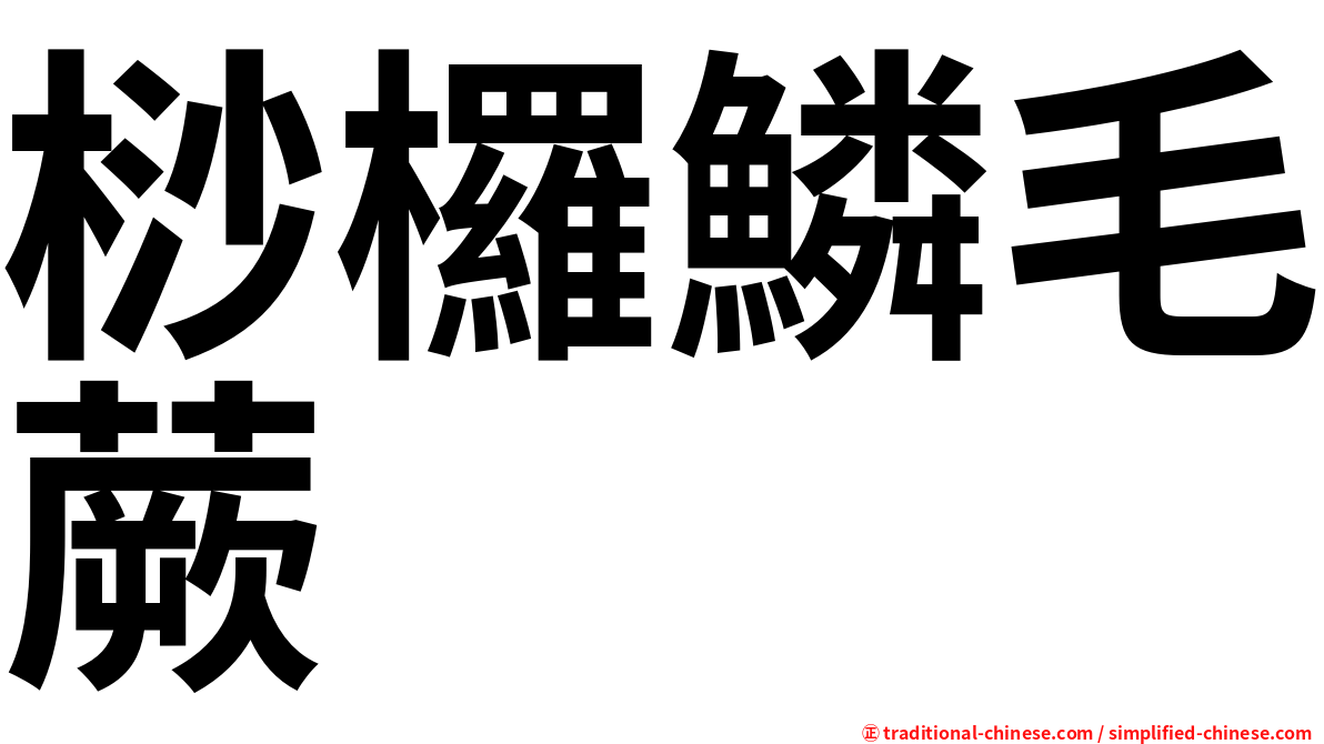 桫欏鱗毛蕨
