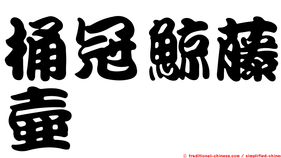 桶冠鯨藤壺