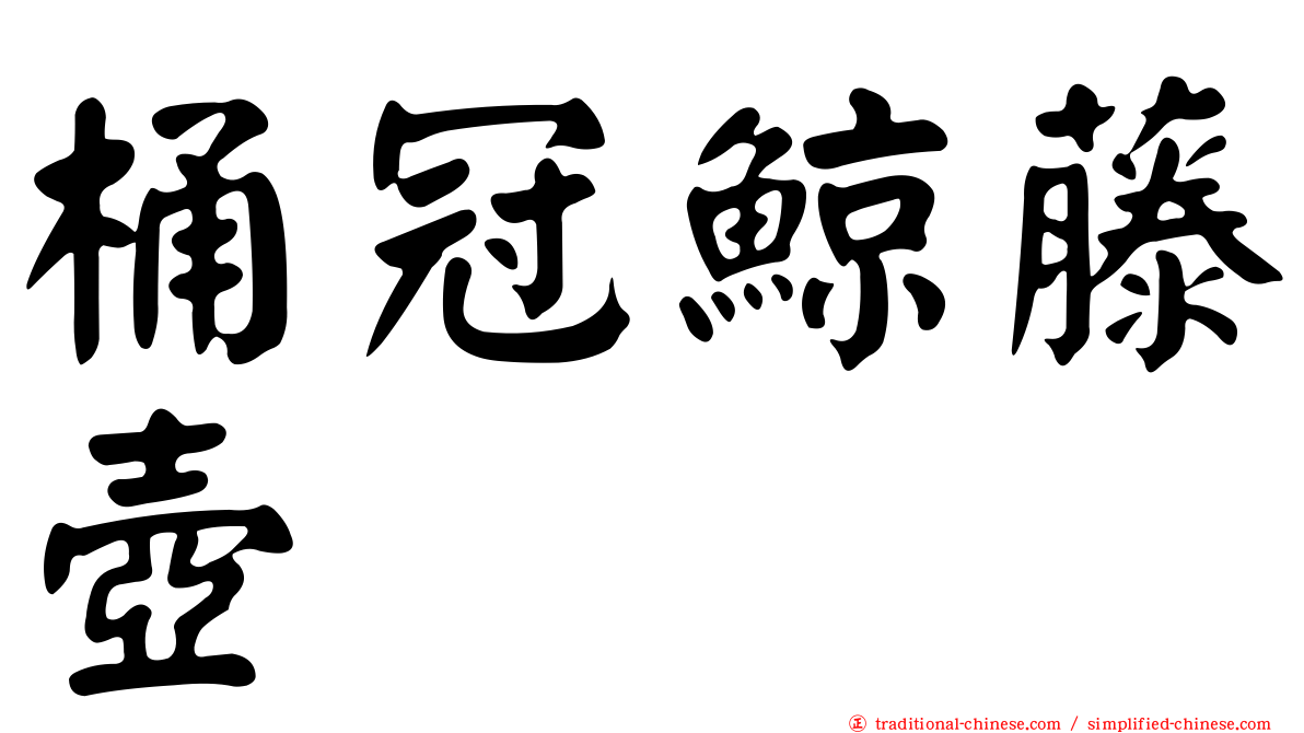 桶冠鯨藤壺