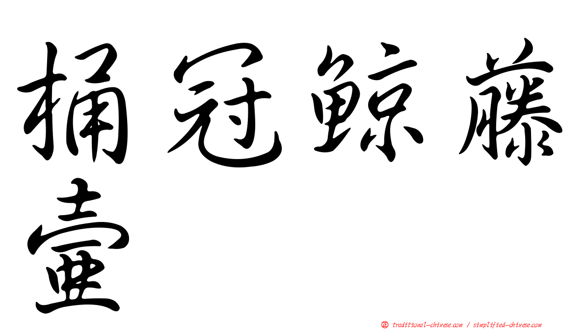 桶冠鯨藤壺