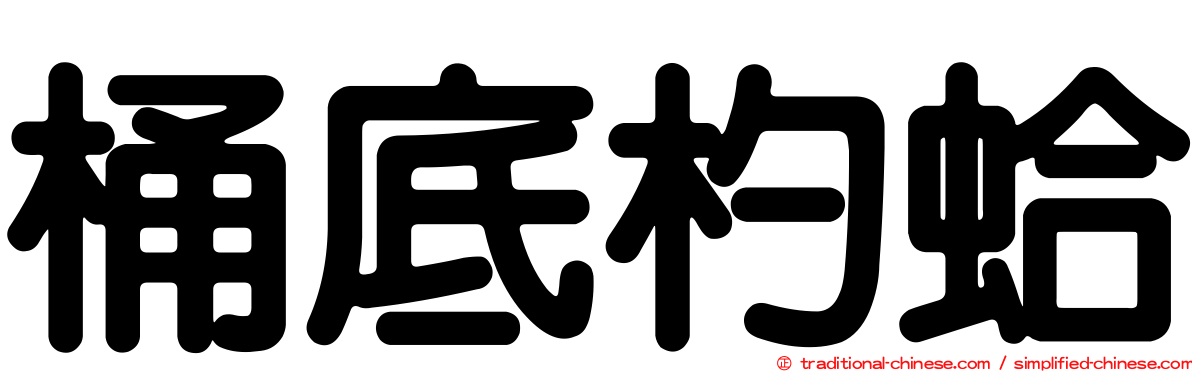 桶底杓蛤