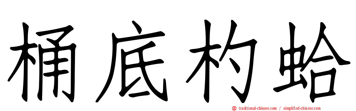 桶底杓蛤