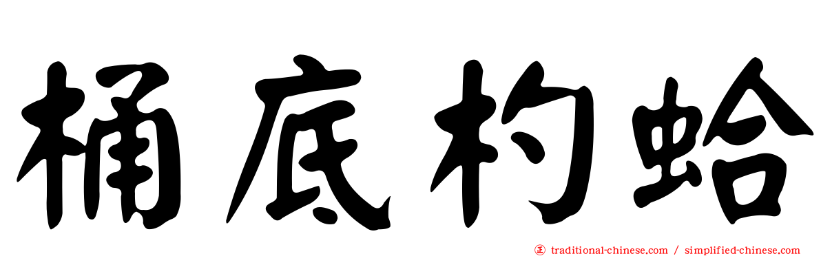 桶底杓蛤