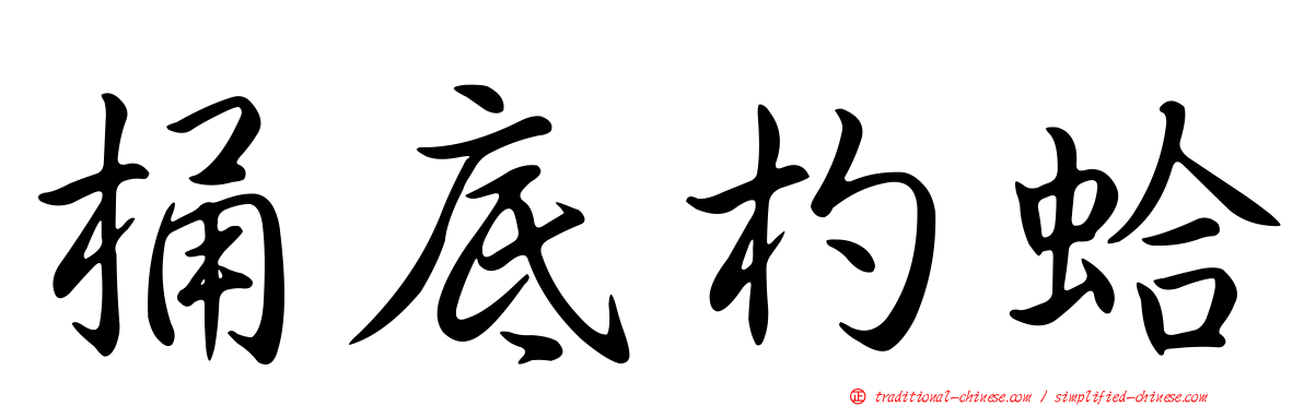 桶底杓蛤