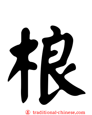 桹