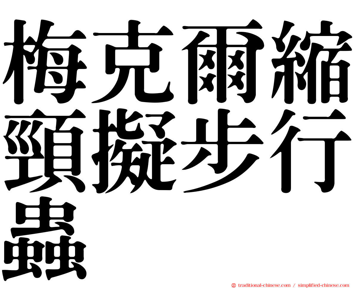 梅克爾縮頸擬步行蟲