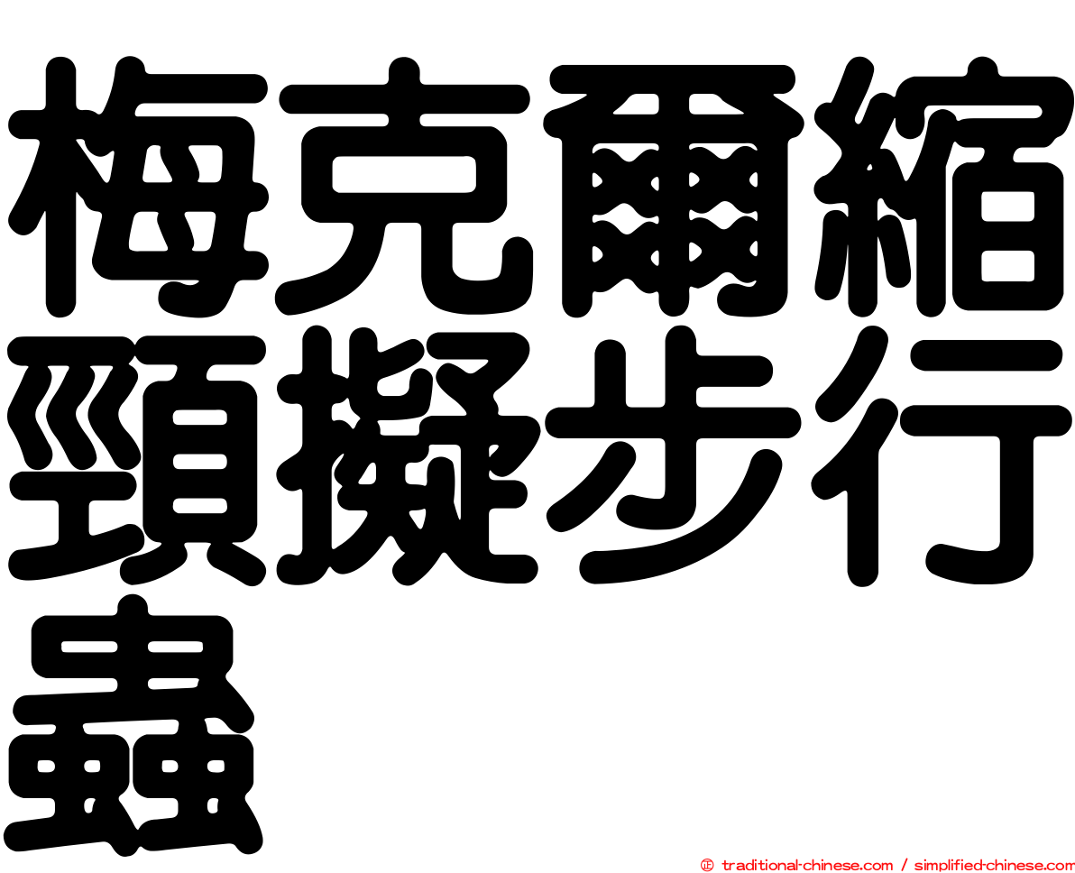 梅克爾縮頸擬步行蟲