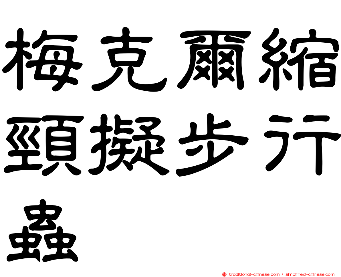 梅克爾縮頸擬步行蟲