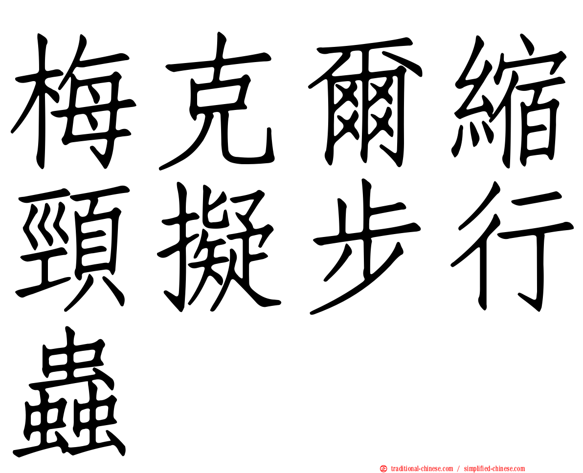 梅克爾縮頸擬步行蟲