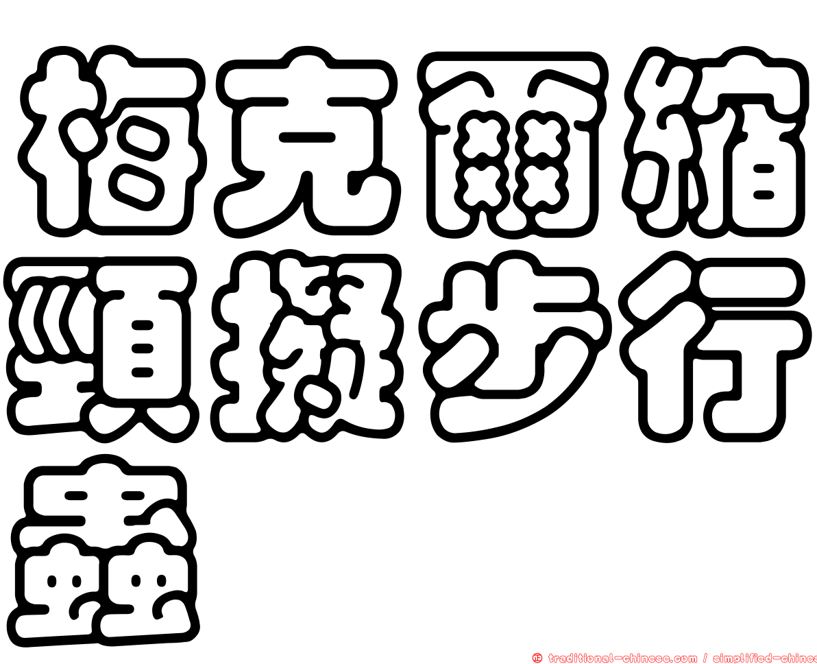 梅克爾縮頸擬步行蟲