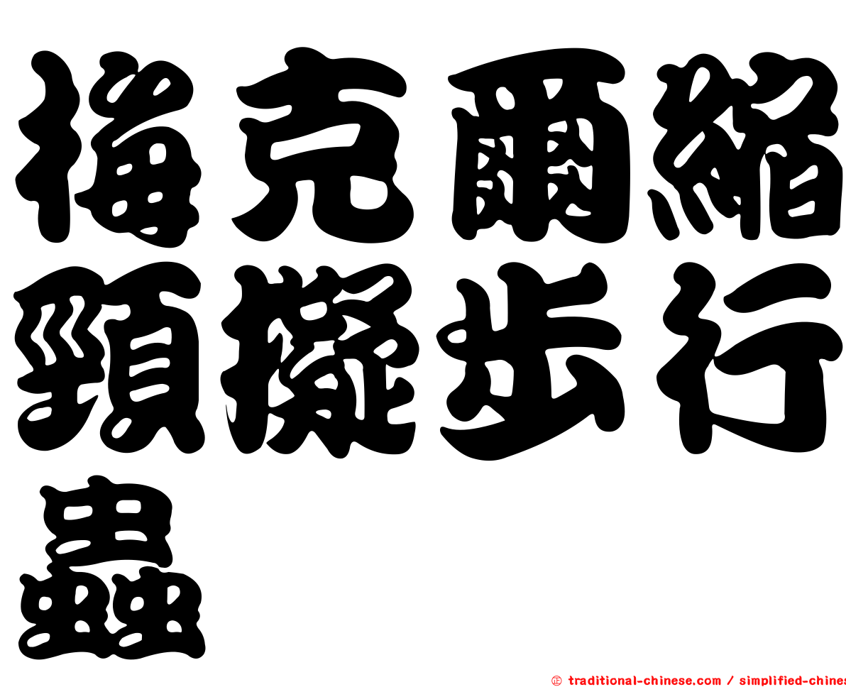梅克爾縮頸擬步行蟲