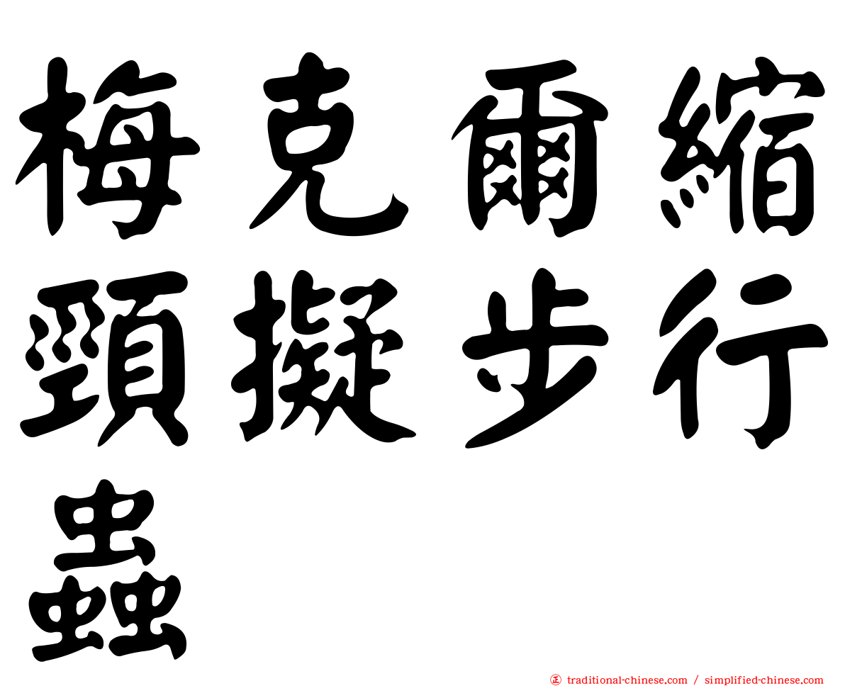 梅克爾縮頸擬步行蟲