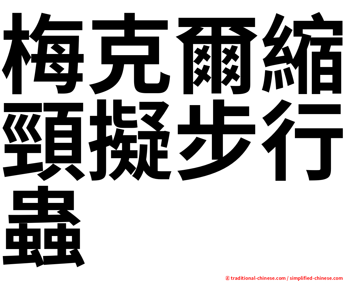 梅克爾縮頸擬步行蟲