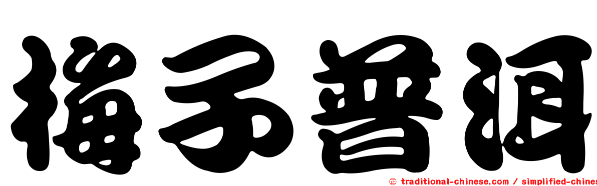 梅子普洱