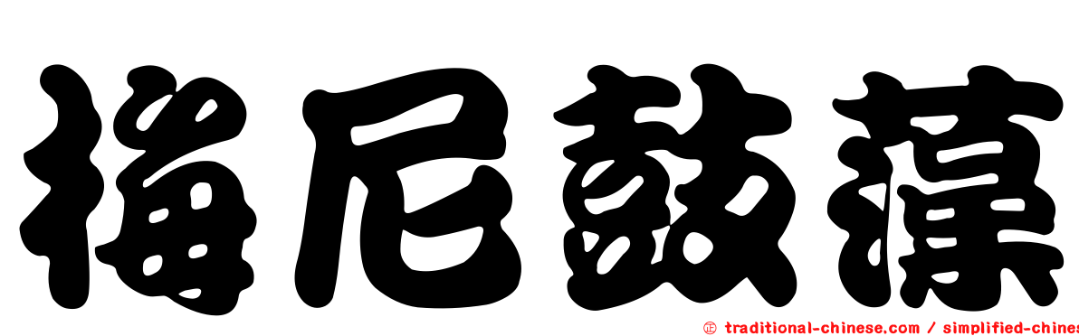 梅尼鼓藻