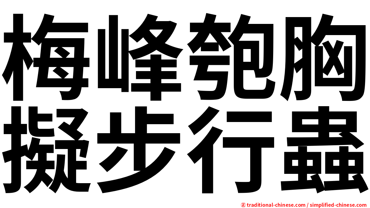 梅峰匏胸擬步行蟲