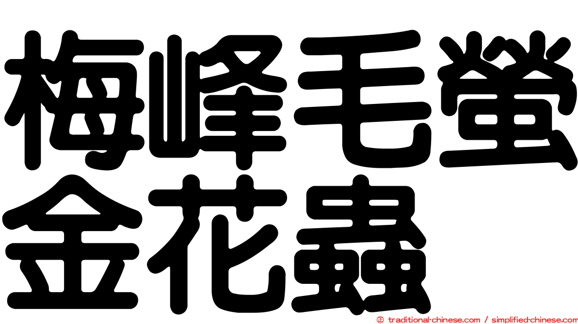 梅峰毛螢金花蟲