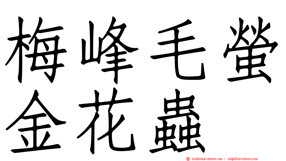 梅峰毛螢金花蟲