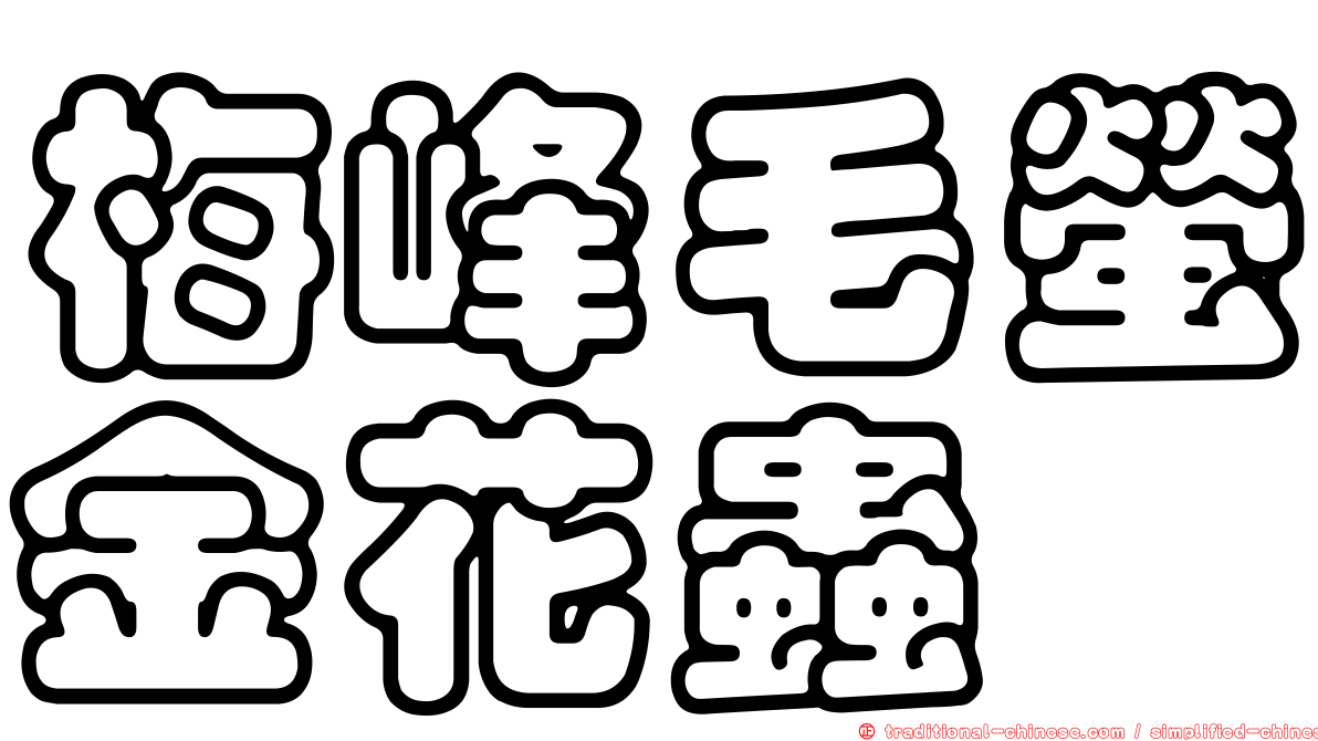 梅峰毛螢金花蟲