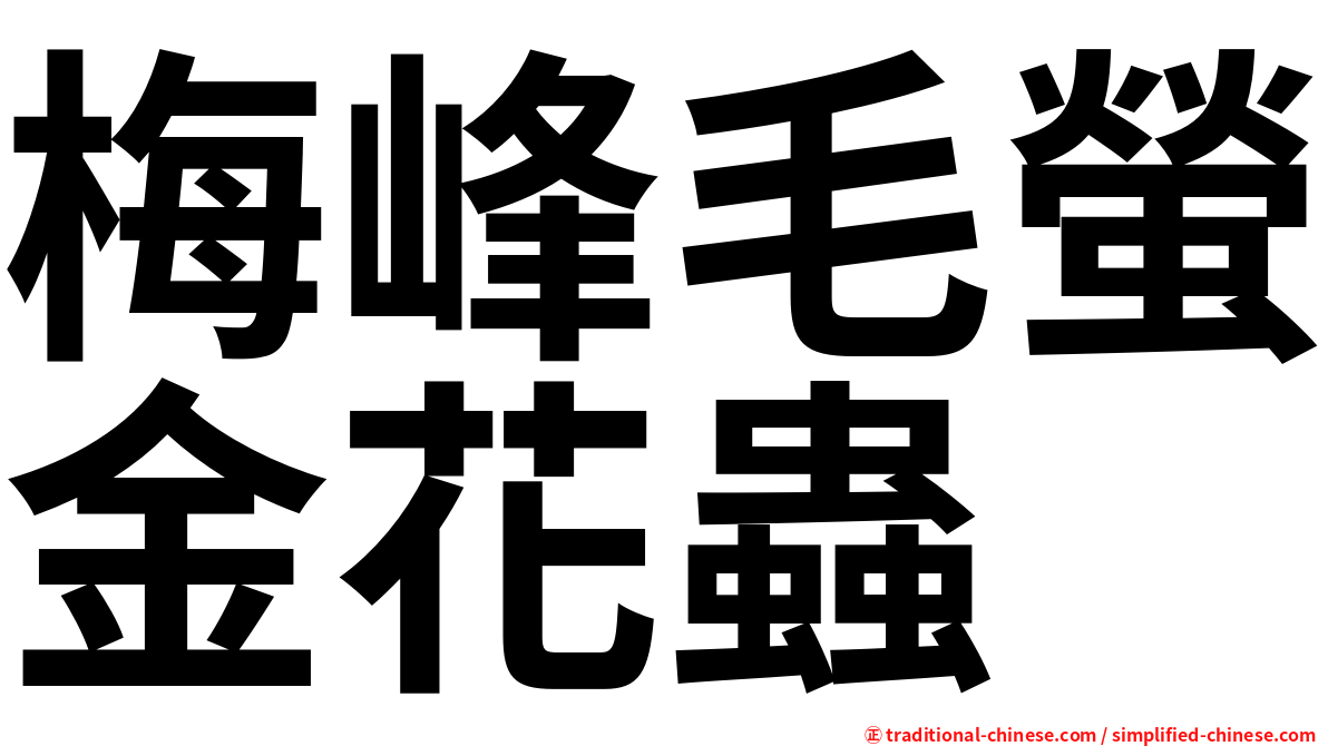 梅峰毛螢金花蟲