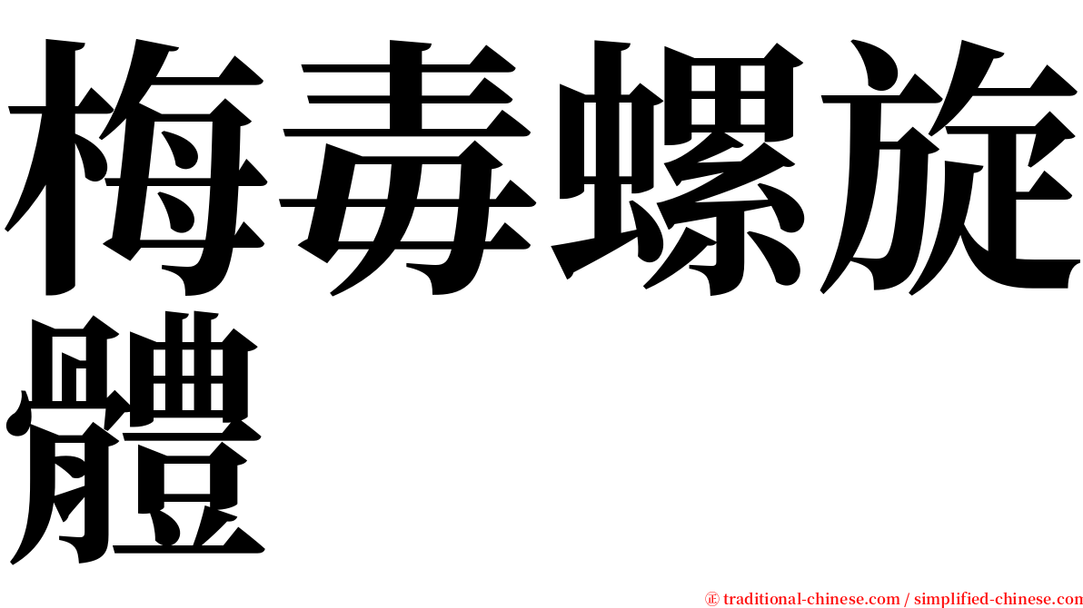 梅毒螺旋體 serif font