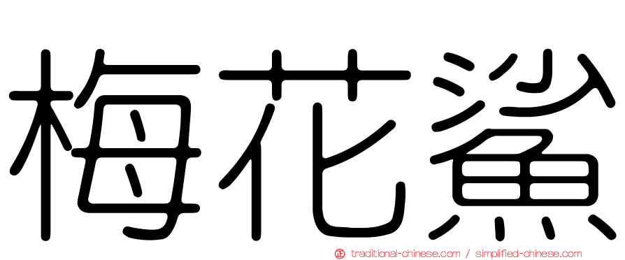 梅花鯊