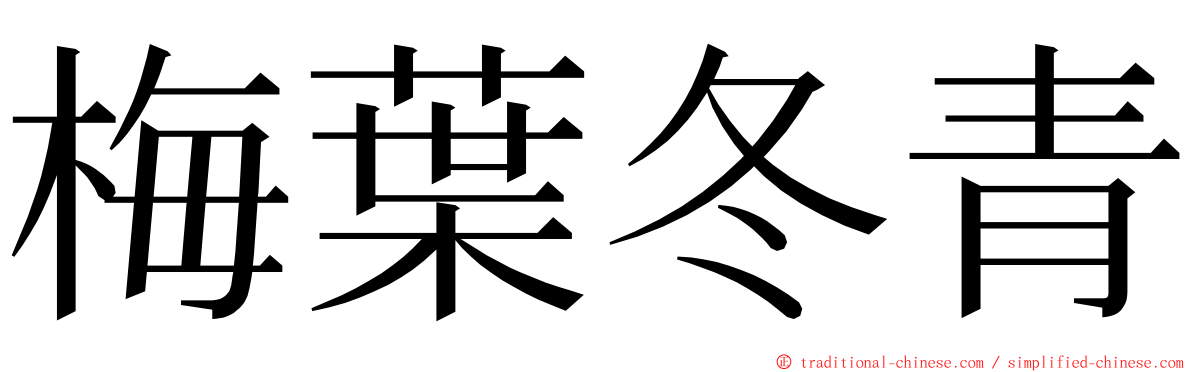 梅葉冬青 ming font