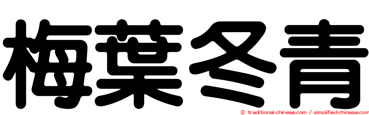 梅葉冬青