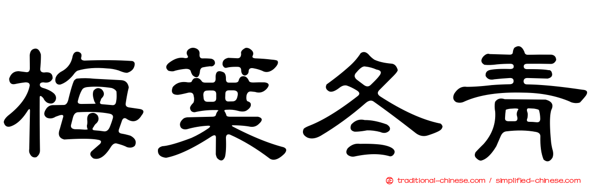 梅葉冬青